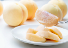 岡山県産 白桃 特別販売