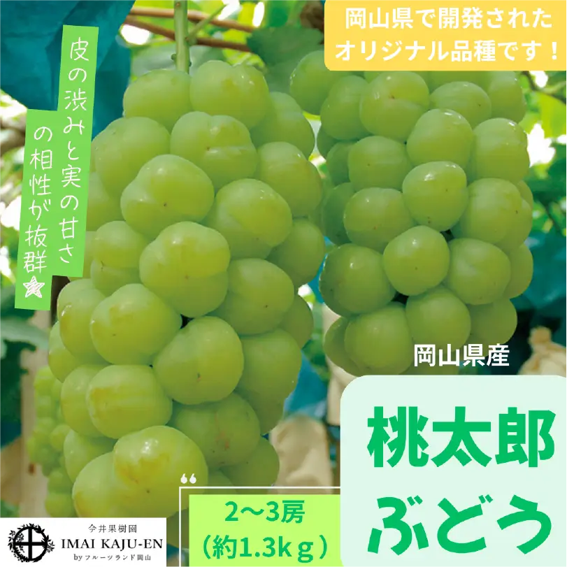 桃太郎ぶどう　約1.3㎏（2～3房）【9月上旬～9月下旬発送】