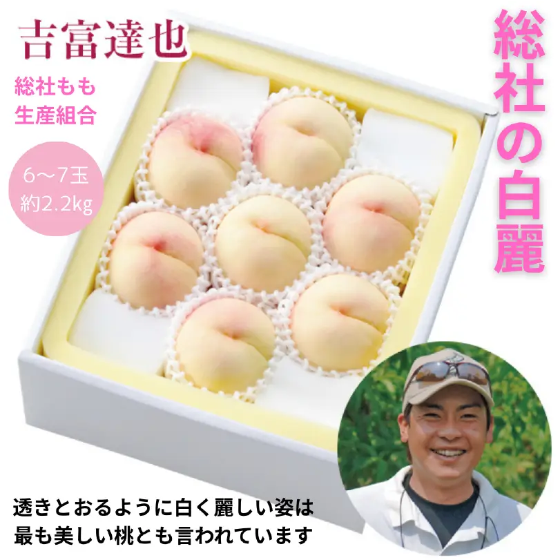 総社の白麗　約2.2㎏（大玉6～7玉）【8月上旬～8月中旬発送】