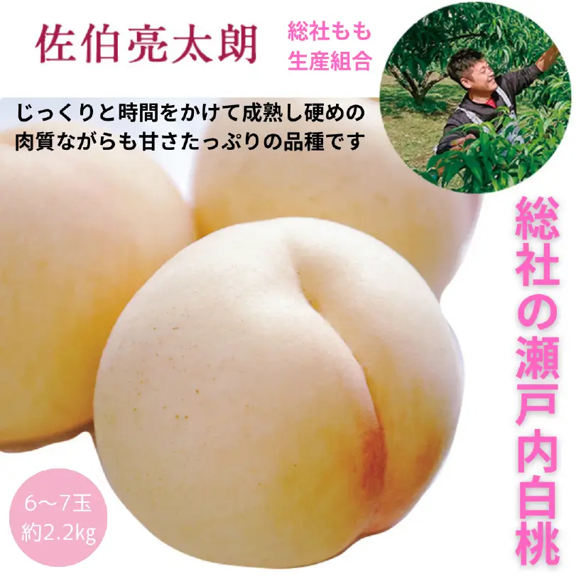 総社の瀬戸内白桃　約2.2㎏（大玉6～7玉）【8月中旬～8月下旬発送】