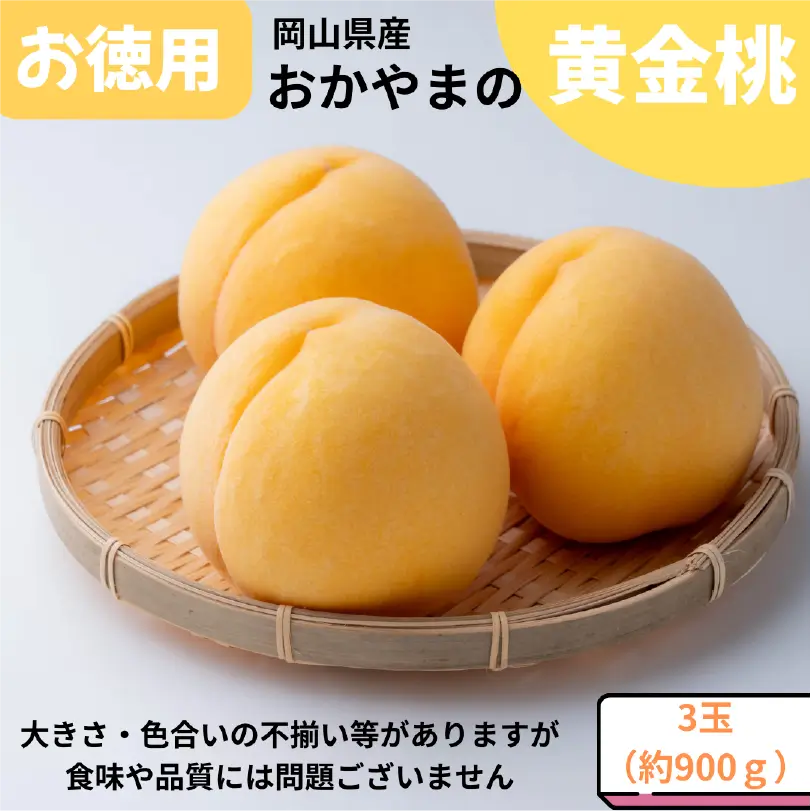 お徳用おかやまの黄金桃　約900ｇ（3玉）【8月下旬～9月中旬発送】