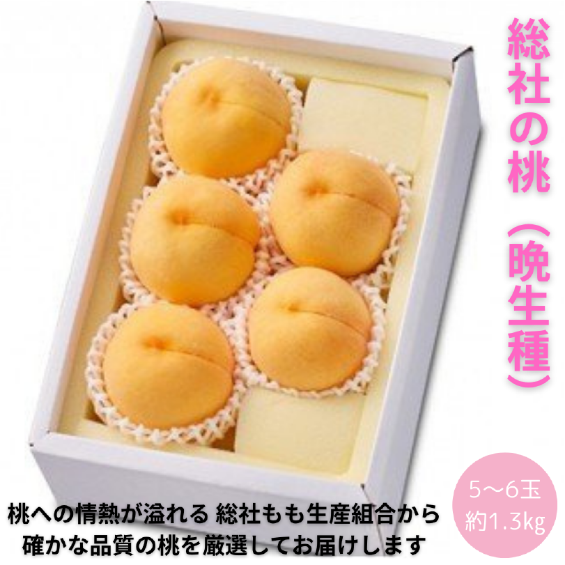 総社の桃　晩生(おくて)種　約1.3㎏（5～6玉）【8月上旬～9月中旬発送】