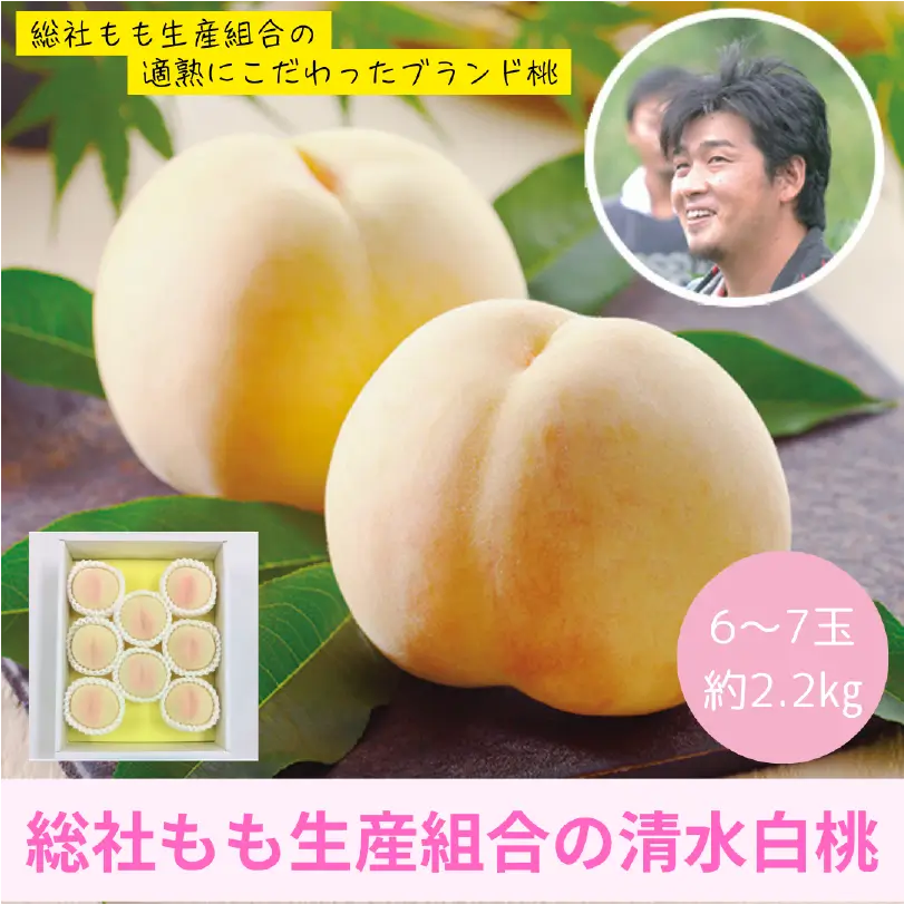 総社の清水白桃　約2.2㎏（大玉6～7玉）【7月下旬～8月上旬発送】