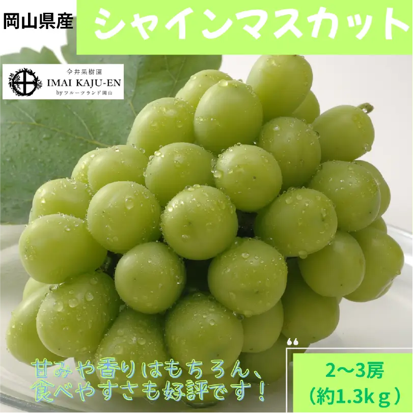 シャインマスカット　約1.3㎏（2～3房）【9月上旬～9月下旬発送】