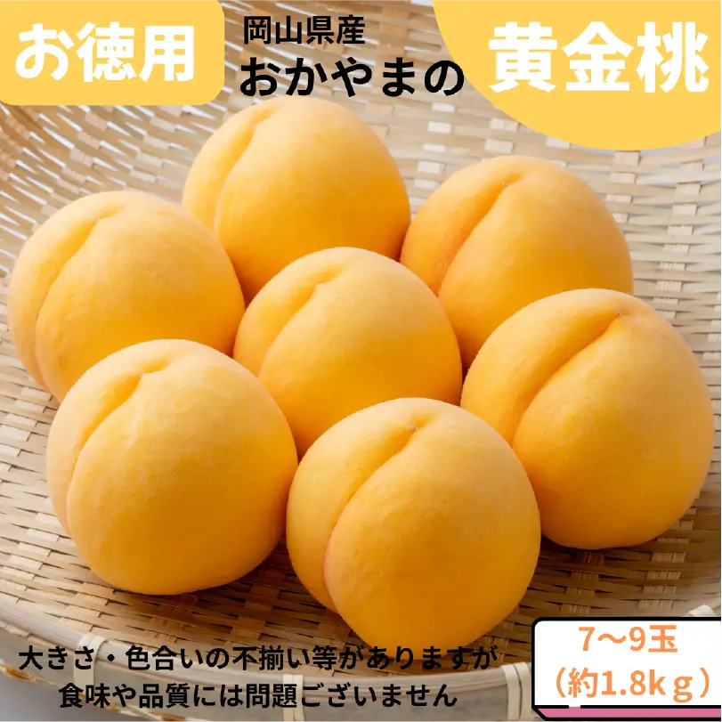 お徳用おかやまの黄金桃　約1.8㎏（7～9玉）【8月下旬～9月中旬発送】