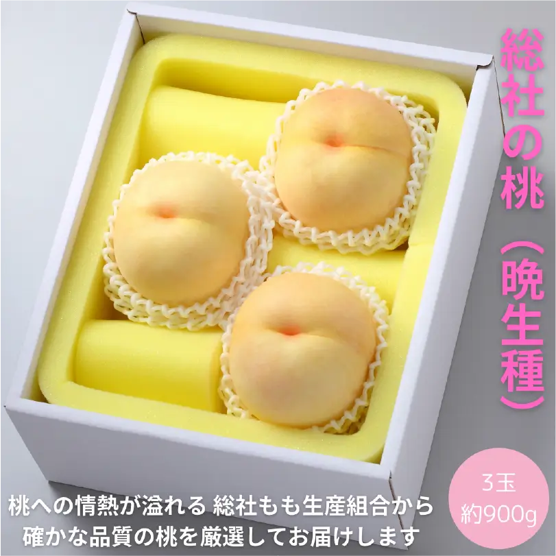 総社の桃　晩生(おくて)種　約900g（3玉）【8月上旬～9月中旬発送】