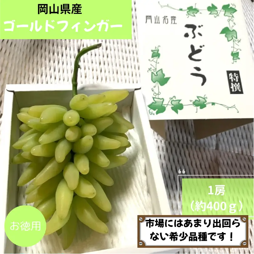 岡山県産ゴールドフィンガー　約400g（1房）【8月中旬～9月上旬発送】