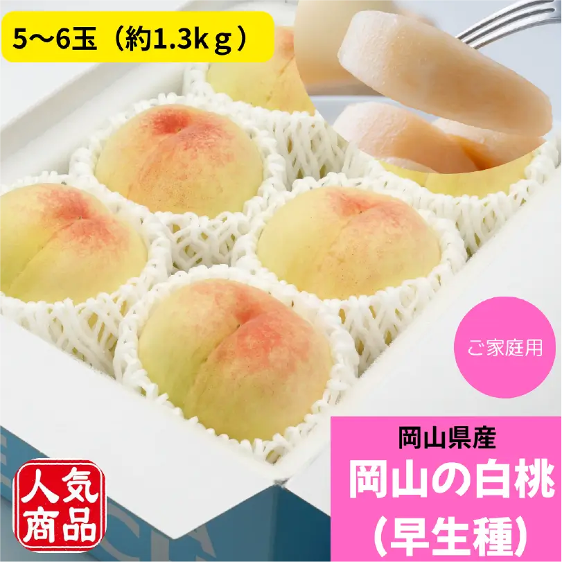 お徳用　岡山の白桃（早生種）　約1.3kg（5～6玉）【6月下旬～7月中旬発送】