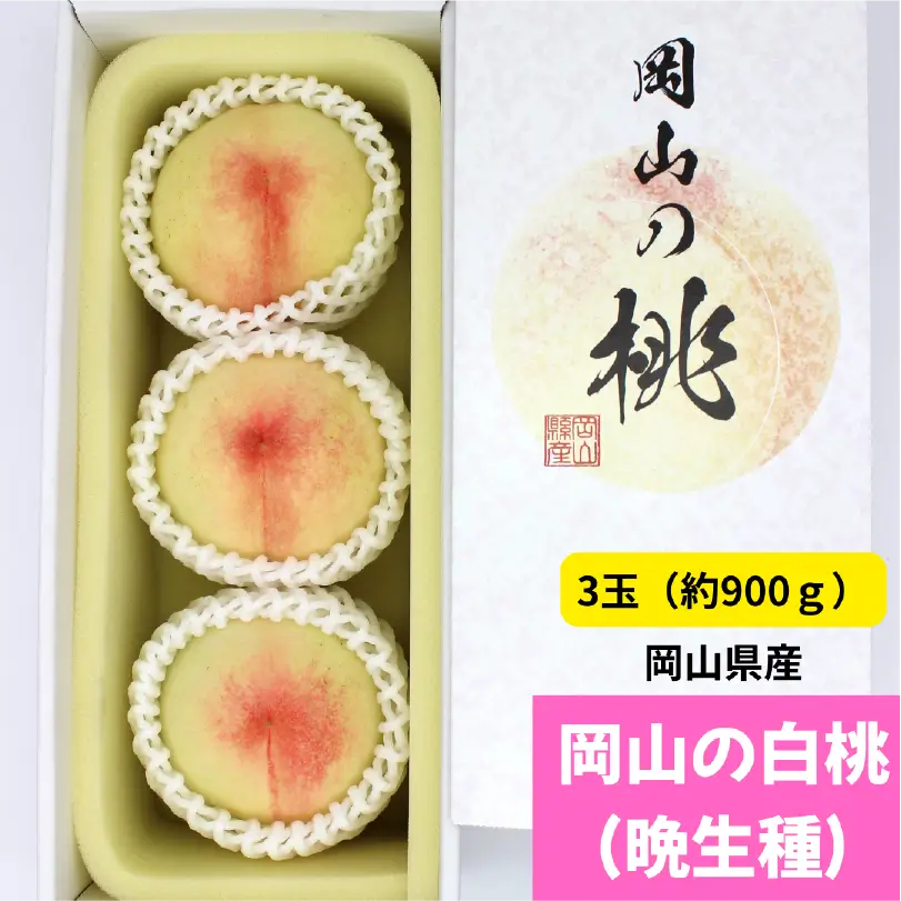 岡山の白桃（晩生種）　約900ｇ（大玉3玉）【7月下旬～8月下旬発送】