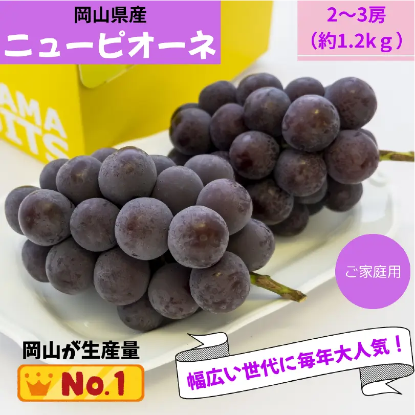 お徳用　岡山県産ニューピオーネ　約1.2kg（2～3房）【8月下旬～9月下旬発送】