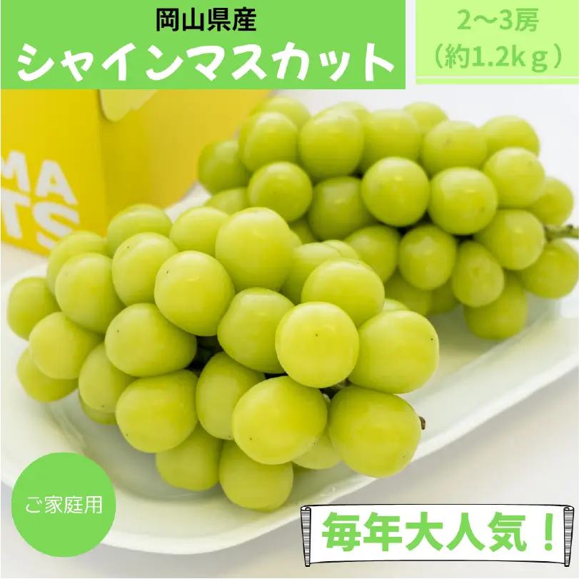 お徳用　岡山県産シャインマスカット　約1.2kg（2～3房）【9月上旬～9月下旬発送】