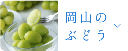 岡山のぶどう