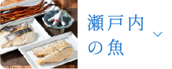 瀬戸内の魚
