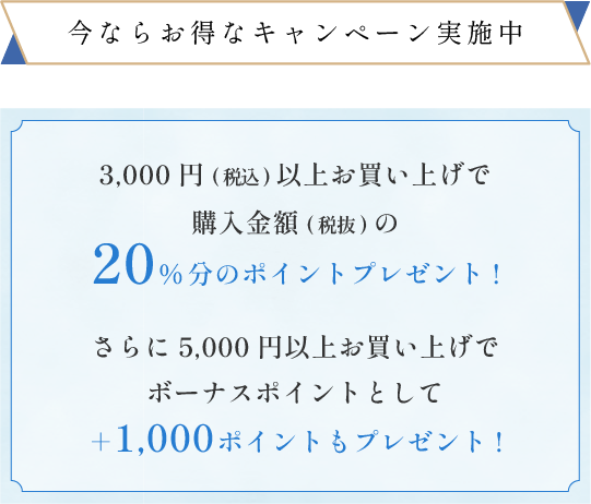 今ならお得なキャンペーン実施中
