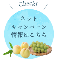 ネットキャンペーン情報はこちら