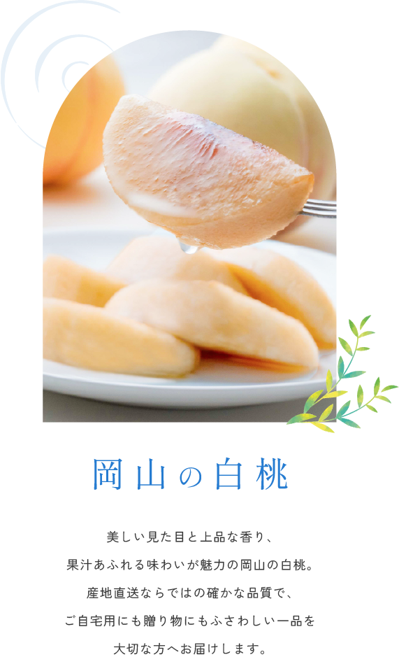 岡山の白桃