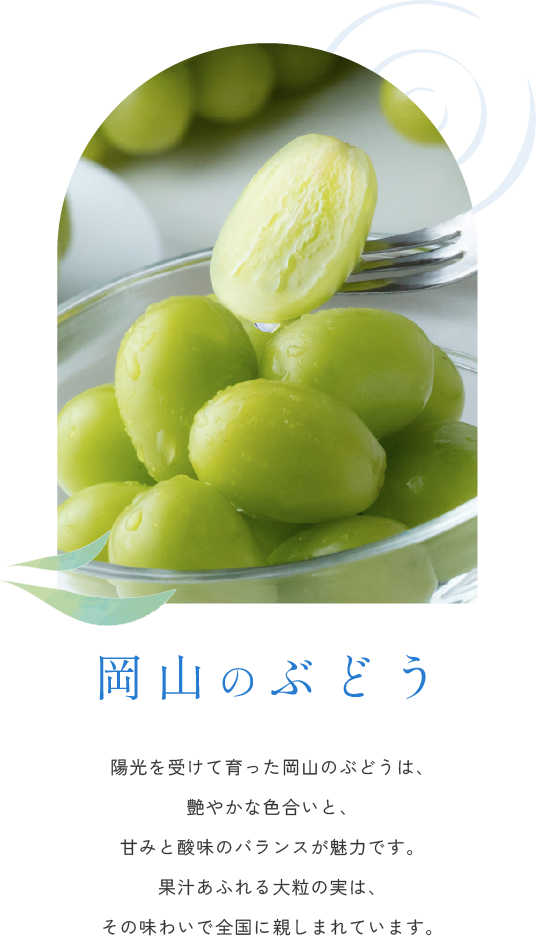 岡山のぶどう