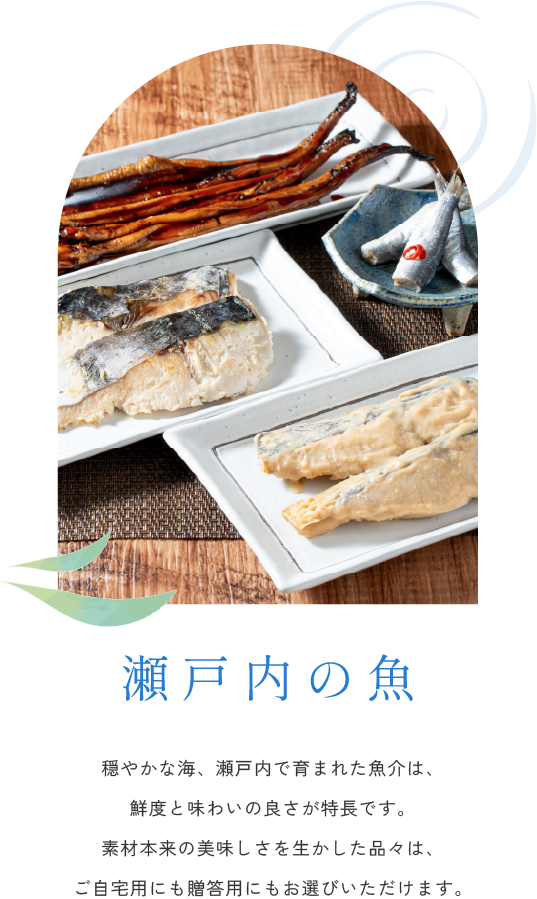 瀬戸内の魚