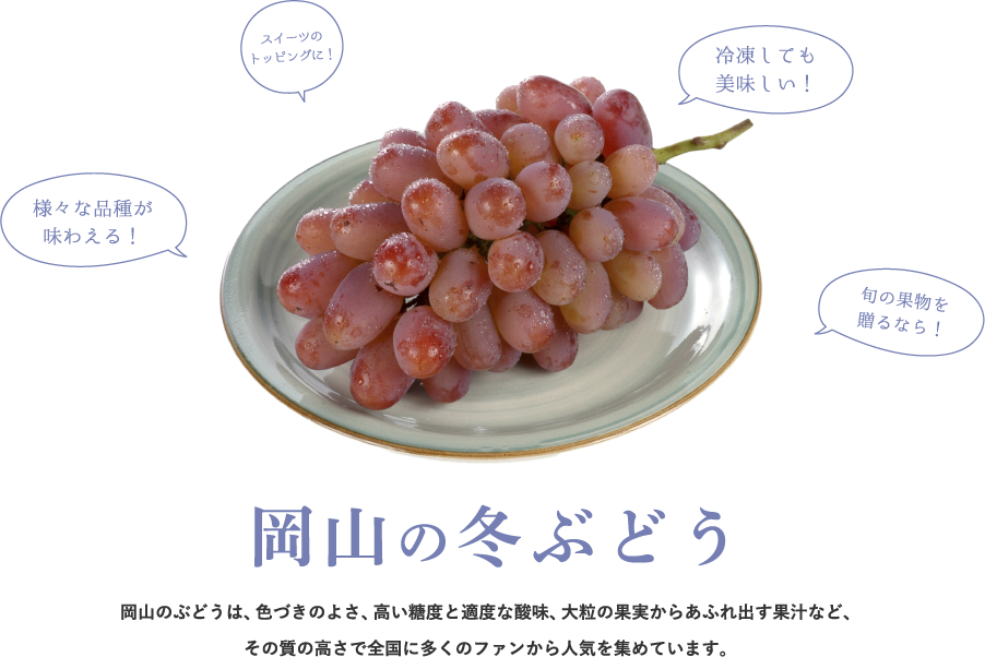 岡山のぶどう