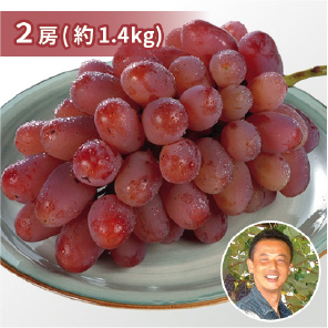 ニューピオーネ 2房 約1.0㎏