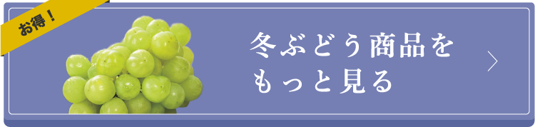 ぶどう商品をもっと見る