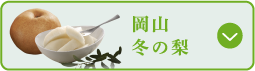 岡山冬の梨
