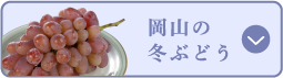 岡山の冬ぶどう