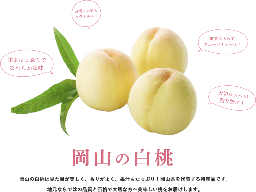 岡山の白桃