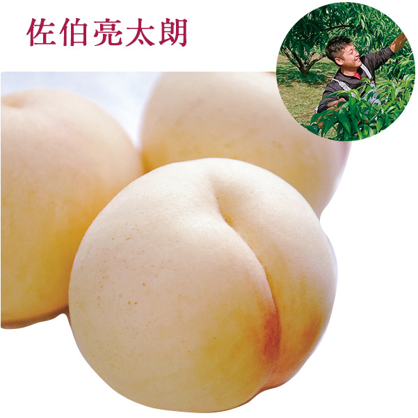 今井果樹園の清水白桃