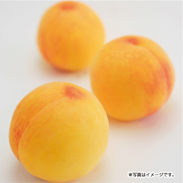 総社の桃(早生(わせ)種)