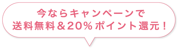 今ならキャンペーンで送料無料&220%ポイント還元!