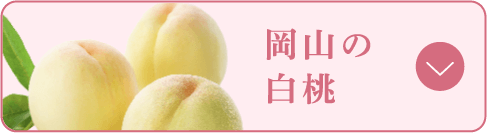 岡山の白桃