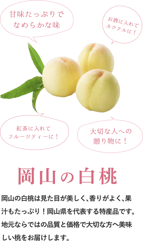 岡山の白桃