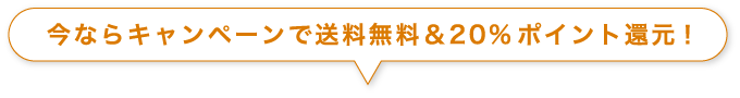 今ならキャンペーンで送料無料&220%ポイント還元!