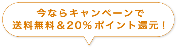 今ならキャンペーンで送料無料&220%ポイント還元!