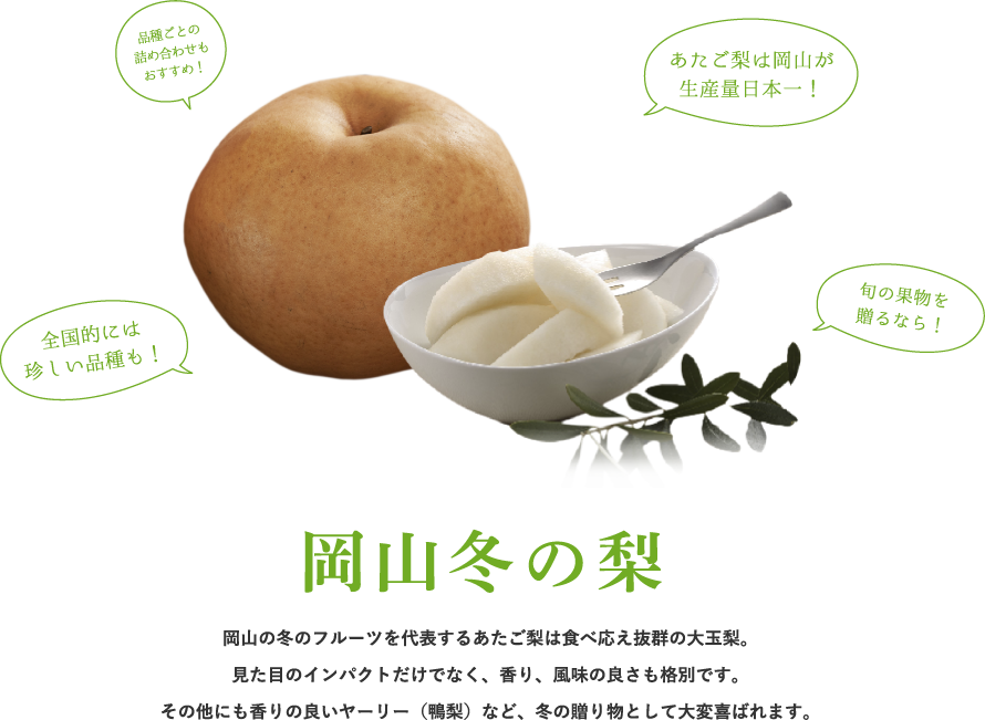 岡山の梨