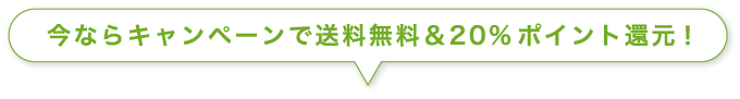 今ならキャンペーンで送料無料＆20%ポイント還元！