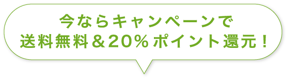 今ならキャンペーンで送料無料＆20%ポイント還元！