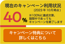 現在のキャンペーンの利用状況